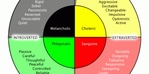 personality-and-individual-differences-1